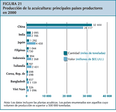 figura 21