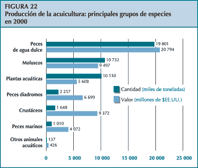 figura 22