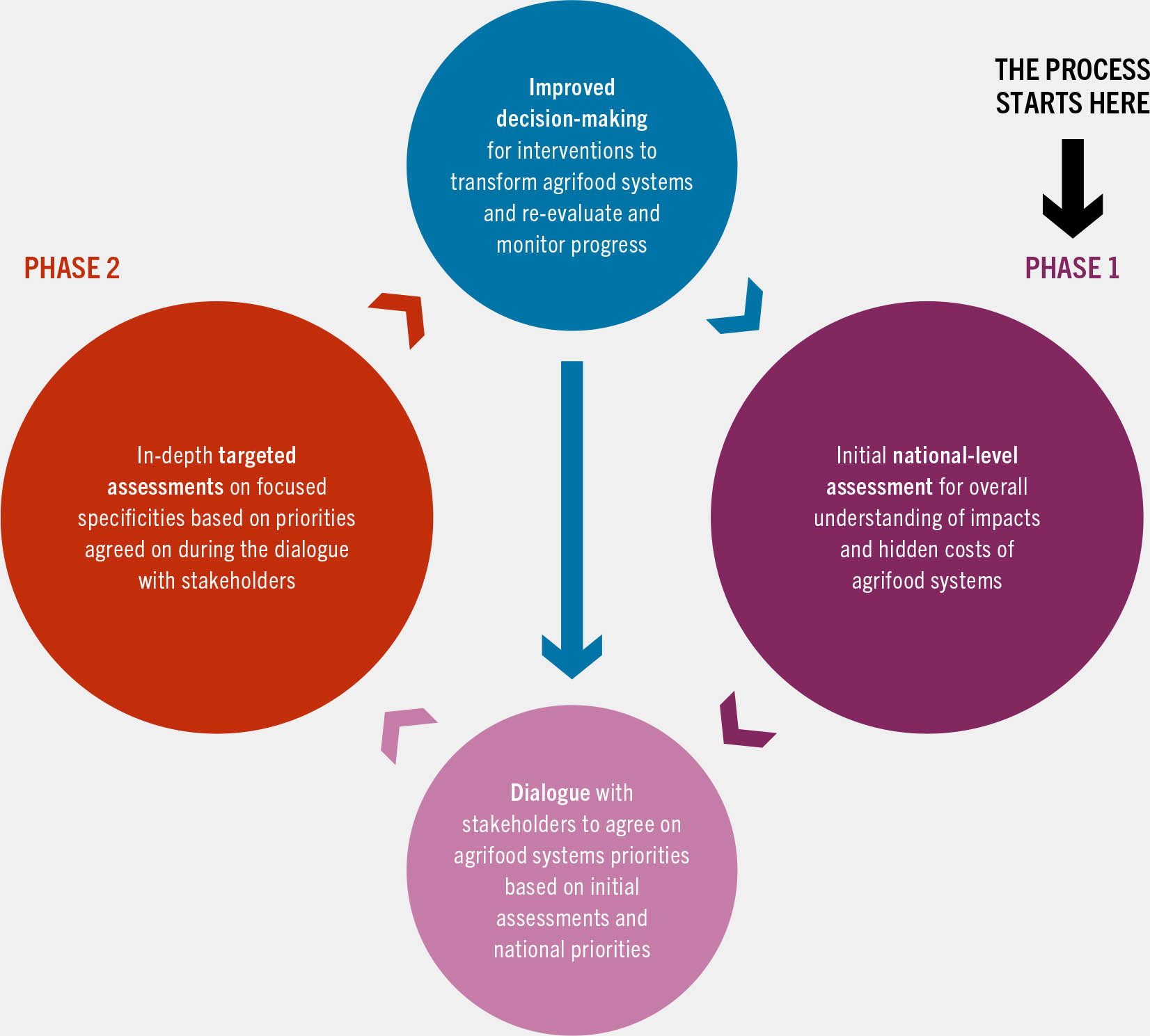 A chart lists the two phases in the agrifood systems assessment process.