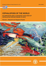 FAO Species Catalogue for Fishery Purposes No. 4, Vol. 2 - Cephalopods of the World