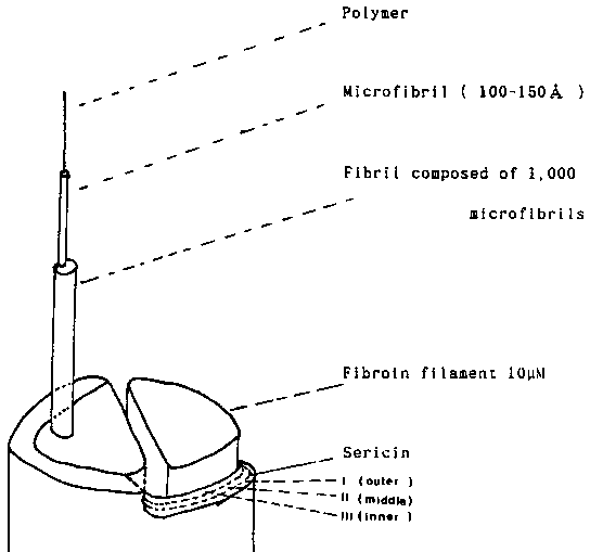 Texture of the silk thread.