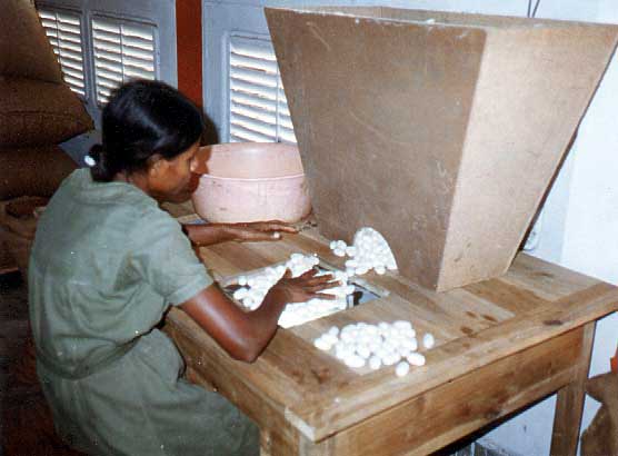 Cocoon assorting table