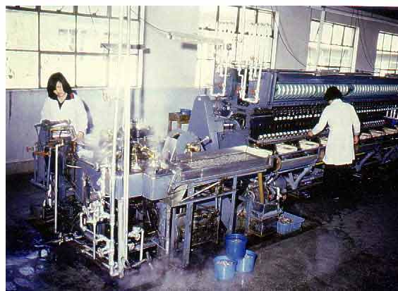 Automatic silk reeling machine 