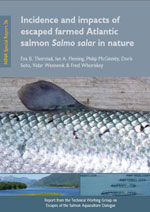 Incidence and impacts of escaped farmed Atlantic salmon Salmo salar in nature