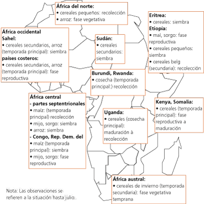 Perspectivas de Cosechas y Situacin Alimentaria