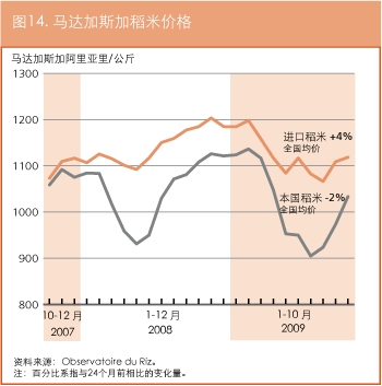 作物前景与粮食形势