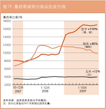 作物前景与粮食形势