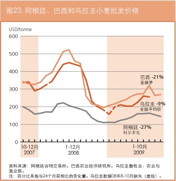 作物前景与粮食形势