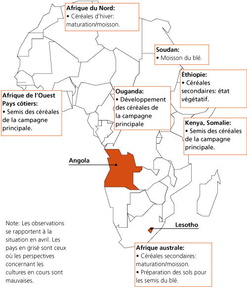 Perspectives de rcoltes et situation alimentaire 