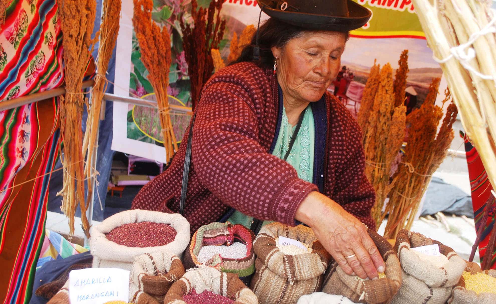 PERU A woman conserving quinoa in the Andean agricultural system ©SIPAM/FAO/MINAM/ALIPIO CANAHUA