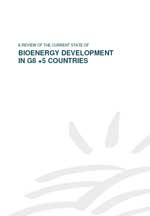 A REVIEW OF THE CURRENT STATE OF BIOENERGY DEVELOPMENT IN G8 +5 COUNTRIES