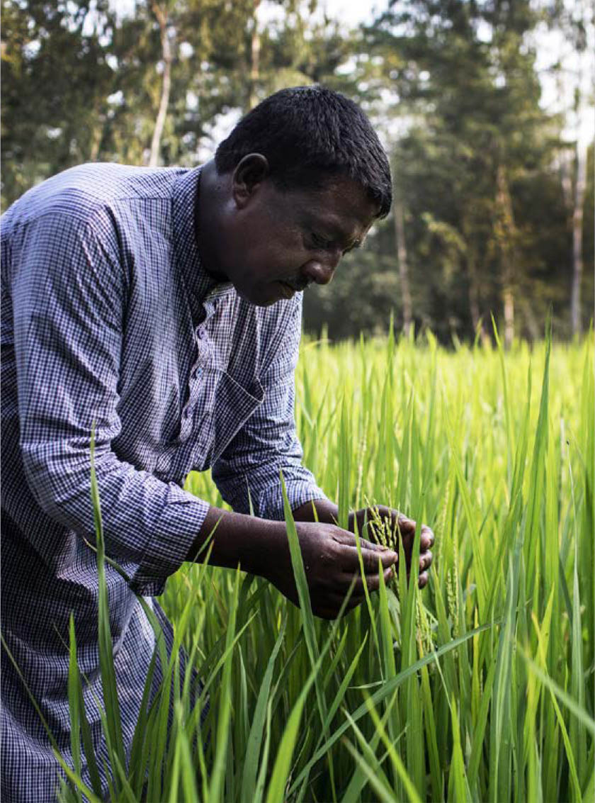 ©FAO/Mohammad Rakibul Hasan