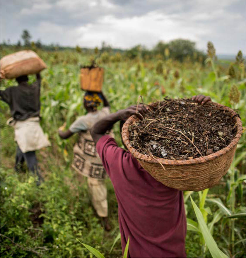 ©FAO/Marco Longari