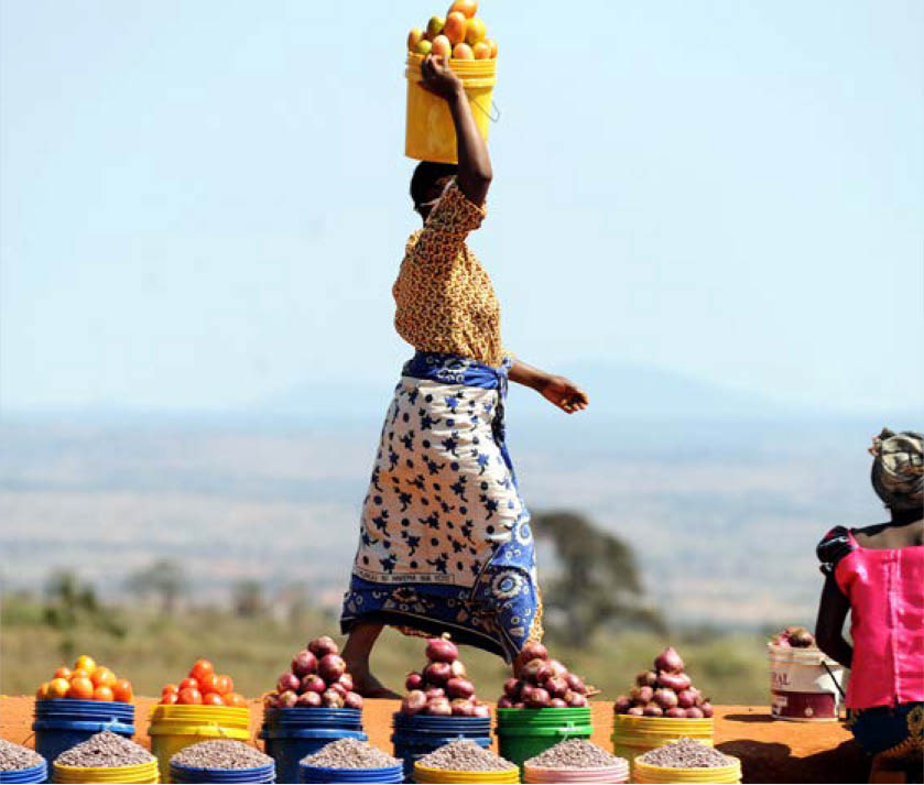 ©FAO/Simon Maina