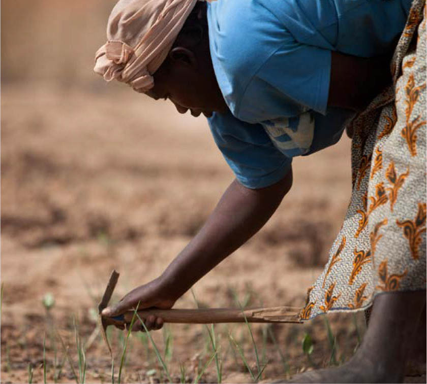 ©FAO/Giulio Napolitano