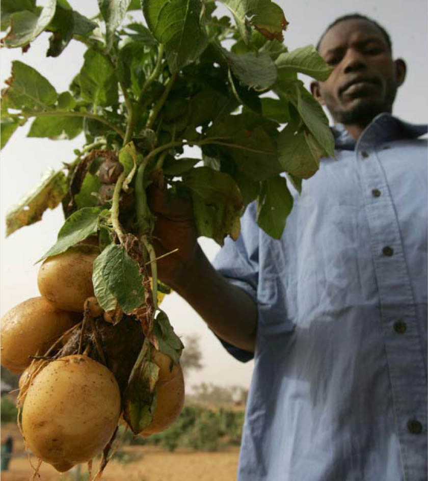 ©FAO/Giulio Napolitano