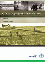 Cultivo de peces en campos de arroz