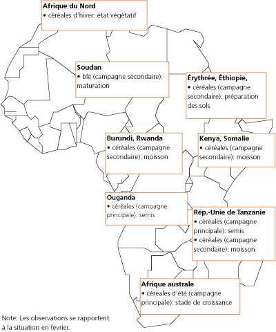 Crop Prospects and Food Situation