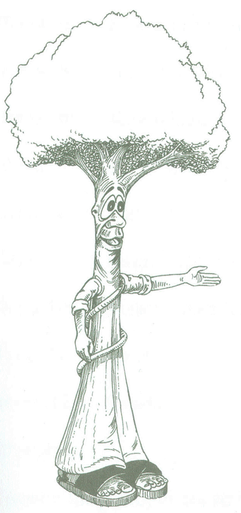 Educación Ambiental para el Trópico de Cochabamba