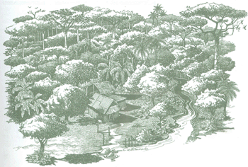 Educación Ambiental para el Trópico de Cochabamba