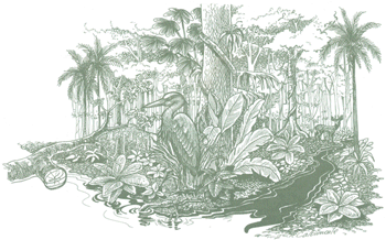 Educación Ambiental para el Trópico de Cochabamba