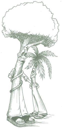 Educación Ambiental para el Trópico de Cochabamba