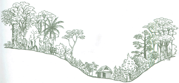 Educación Ambiental para el Trópico de Cochabamba