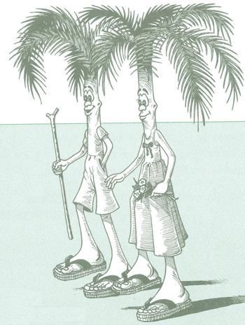 Educación Ambiental para el Trópico de Cochabamba