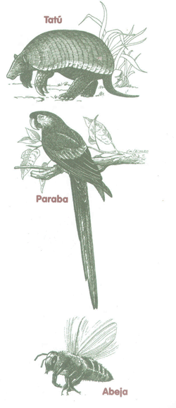 Educación Ambiental para el Trópico de Cochabamba