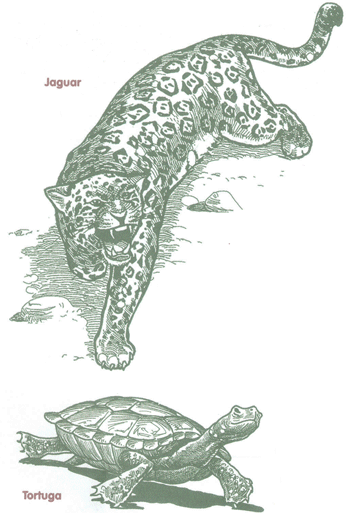 Educación Ambiental para el Trópico de Cochabamba