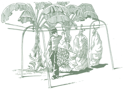 Educación Ambiental para el Trópico de Cochabamba