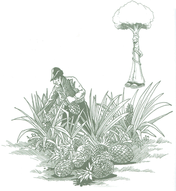 Educación Ambiental para el Trópico de Cochabamba