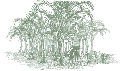 Educación Ambiental para el Trópico de Cochabamba