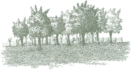 Educación Ambiental para el Trópico de Cochabamba