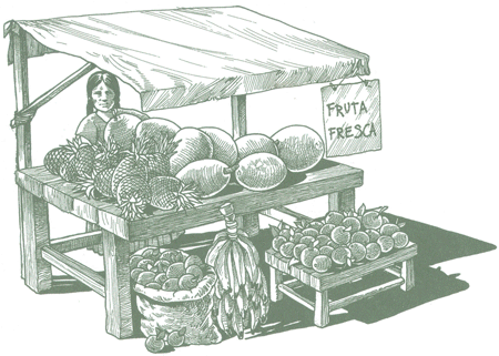 Educación Ambiental para el Trópico de Cochabamba