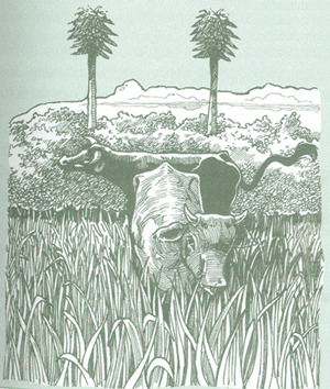 Educación Ambiental para el Trópico de Cochabamba