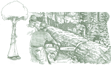 Educación Ambiental para el Trópico de Cochabamba