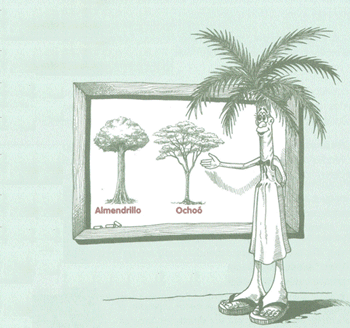 Educación Ambiental para el Trópico de Cochabamba