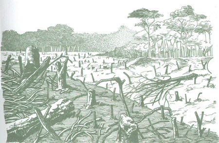 Educación Ambiental para el Trópico de Cochabamba