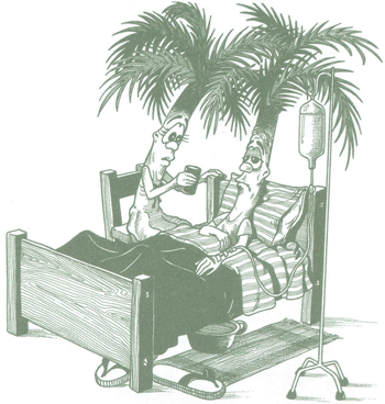 Educación Ambiental para el Trópico de Cochabamba