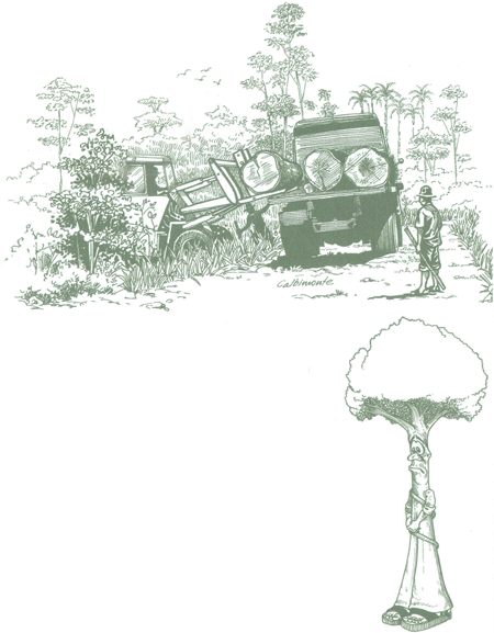 Educación Ambiental para el Trópico de Cochabamba