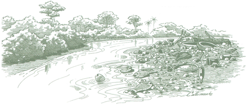 Educación Ambiental para el Trópico de Cochabamba