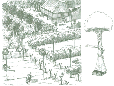 Educación Ambiental para el Trópico de Cochabamba