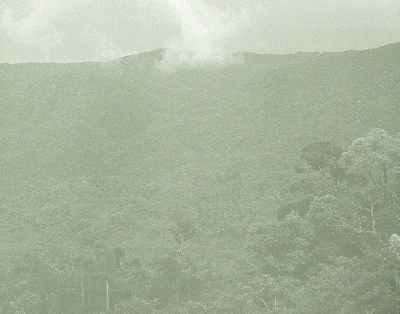 Educación Ambiental para el Trópico de Cochabamba