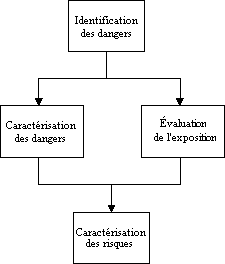 Caractrisation des dangers lis  la prsence de pathognes dans les aliments et dans l'eau - DIRECTIVES