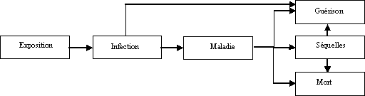 Caractérisation des dangers liés à la présence de pathogènes dans les aliments et dans l'eau - DIRECTIVES