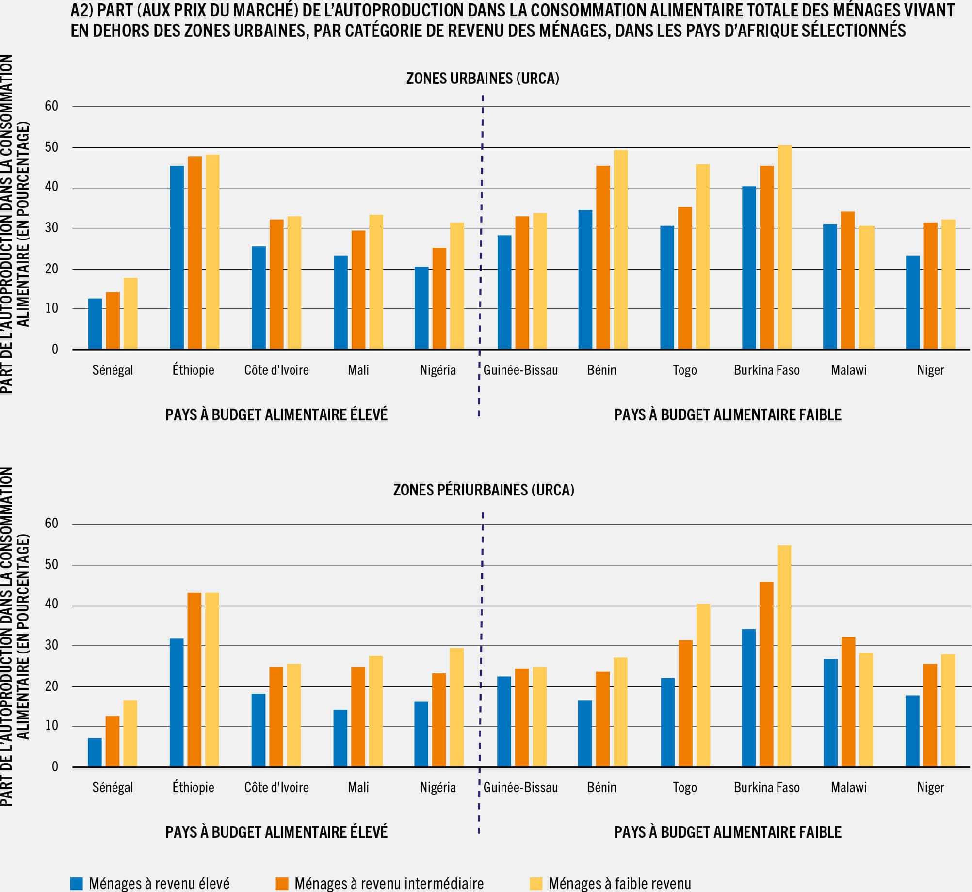 SOURCE: Dolislager, M. J., Holleman, C., Liverpool-Tasie, L. S. O. et Reardon, T. 2023. Analysis of food demand and supply across the rural–urban continuum in selected countries in Africa. Document d’information établi pour servir de base au rapport sur L’État de la sécurité alimentaire et de la nutrition dans le monde 2023. Document de travail de la FAO sur l’économie du développement agricole 23-09. Rome, FAO.