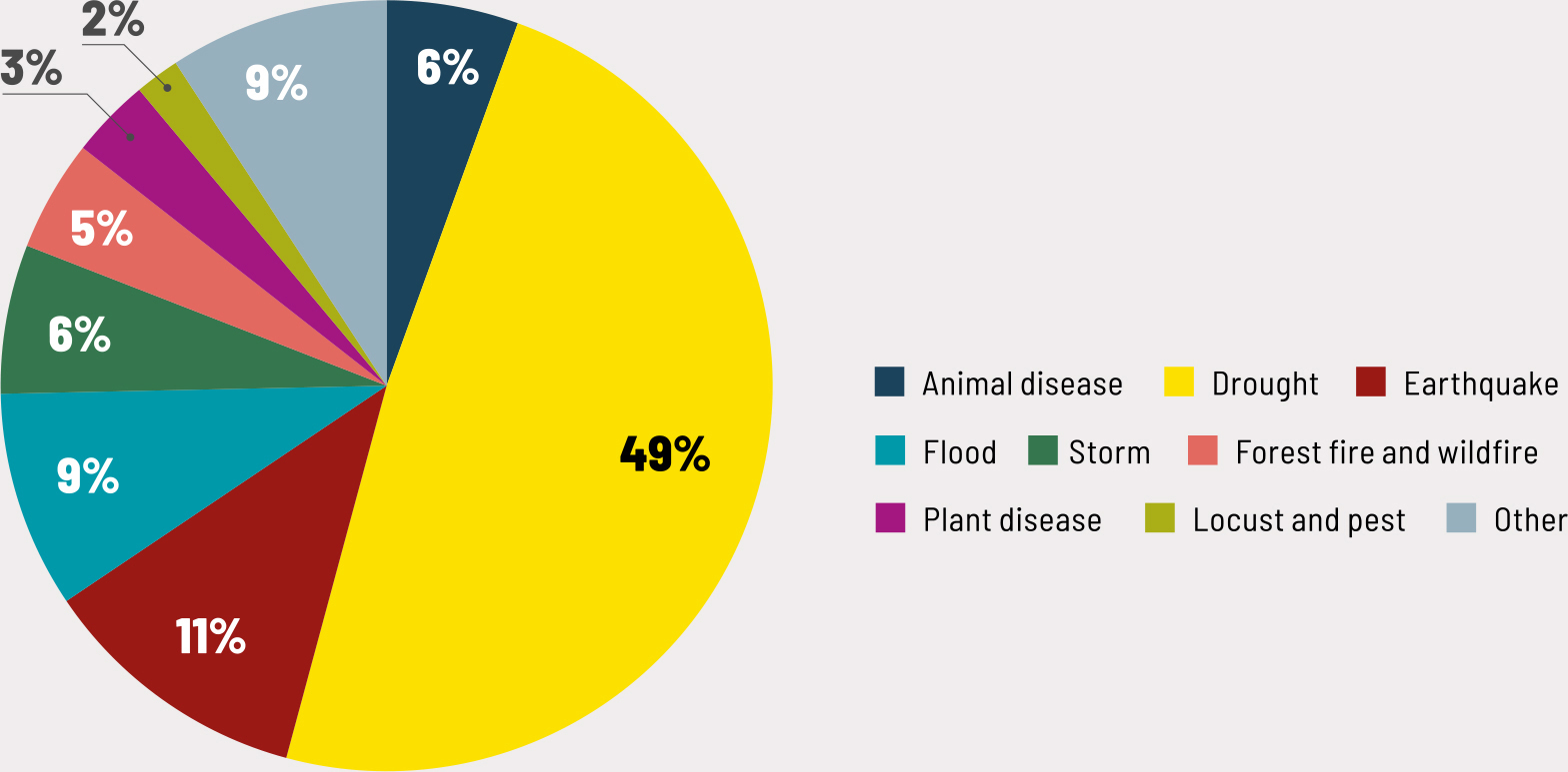 Source: Authors’ own elaboration based on UNDRR Sendai indicator C2 data.