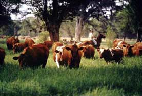 ©Foto: Carlos Pineda