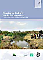 FAO WATER REPORTS 33